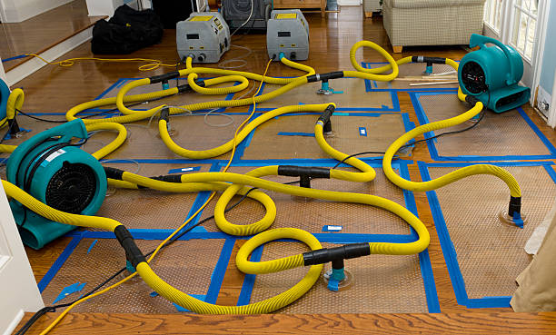 Professional Water Damage Restoration technician working in Westfield, IN